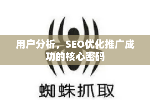 用户分析，SEO优化推广成功的核心密码-第1张图片-星博讯-专业SEO_网站优化技巧_搜索引擎排名提升