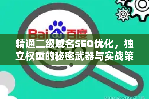 精通二级域名SEO优化，独立权重的秘密武器与实战策略
