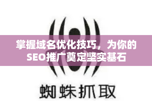 掌握域名优化技巧，为你的SEO推广奠定坚实基石-第1张图片-星博讯-专业SEO_网站优化技巧_搜索引擎排名提升