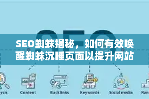 SEO蜘蛛揭秘，如何有效唤醒蜘蛛沉睡页面以提升网站排名