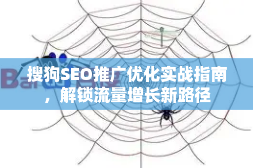 搜狗SEO推广优化实战指南，解锁流量增长新路径