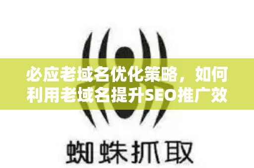 必应老域名优化策略，如何利用老域名提升SEO推广效果