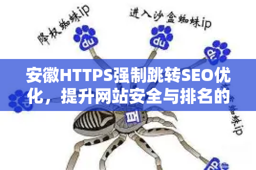 安徽HTTPS强制跳转SEO优化，提升网站安全与排名的终极指南