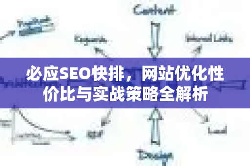 必应SEO快排，网站优化性价比与实战策略全解析-第1张图片-星博讯-专业SEO_网站优化技巧_搜索引擎排名提升