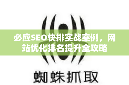 必应SEO快排实战案例，网站优化排名提升全攻略-第1张图片-星博讯-专业SEO_网站优化技巧_搜索引擎排名提升