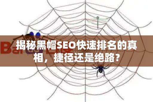 揭秘黑帽SEO快速排名的真相，捷径还是绝路？