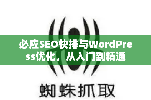 必应SEO快排与WordPress优化，从入门到精通