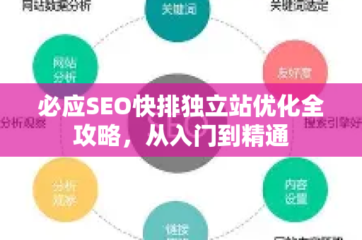 必应SEO快排独立站优化全攻略，从入门到精通