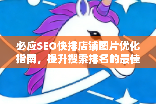 必应SEO快排店铺图片优化指南，提升搜索排名的最佳实践