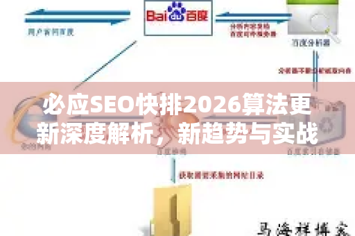 必应SEO快排2026算法更新深度解析，新趋势与实战策略