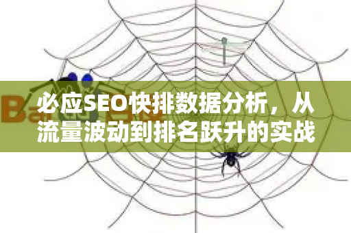 必应SEO快排数据分析，从流量波动到排名跃升的实战指南