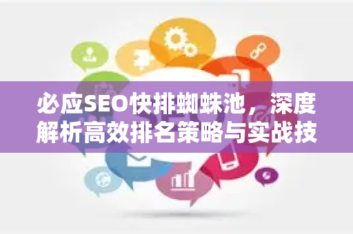 必应SEO快排蜘蛛池，深度解析高效排名策略与实战技巧