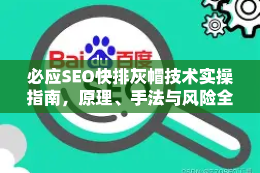必应SEO快排灰帽技术实操指南，原理、手法与风险全解析