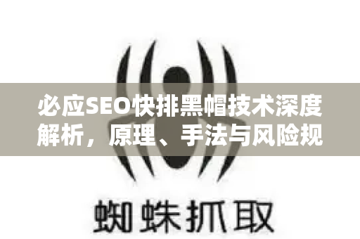 必应SEO快排黑帽技术深度解析，原理、手法与风险规避指南