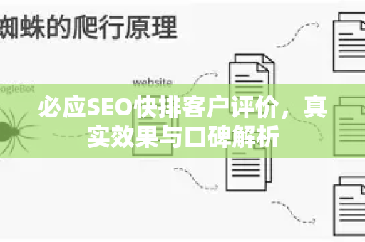 必应SEO快排客户评价，真实效果与口碑解析