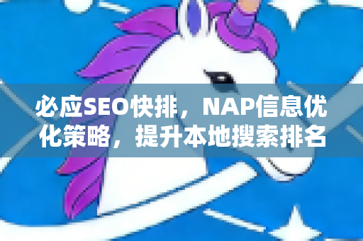必应SEO快排，NAP信息优化策略，提升本地搜索排名的最佳实践