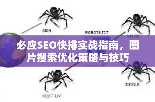 必应SEO快排实战指南，图片搜索优化策略与技巧