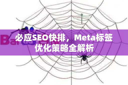 必应SEO快排，Meta标签优化策略全解析