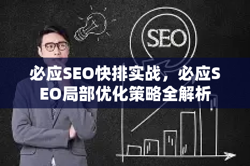 必应SEO快排实战，必应SEO局部优化策略全解析