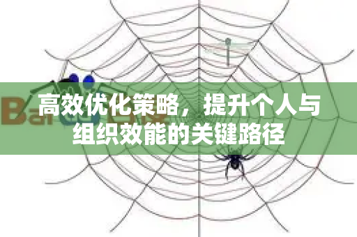 高效优化策略,提升个人与组织效能的关键路径-第1张图片-星博讯-专业SEO_网站优化技巧_搜索引擎排名提升 高效优化策略,提升个人与组织效能的关键路径-第1张图片-星博讯-专业SEO_网站优化技巧_搜索引擎排名提升