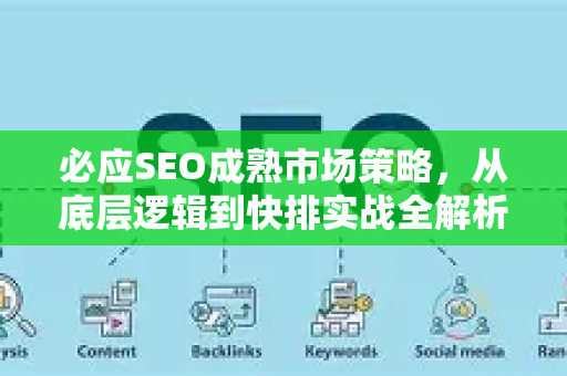 必应SEO成熟市场策略，从底层逻辑到快排实战全解析
