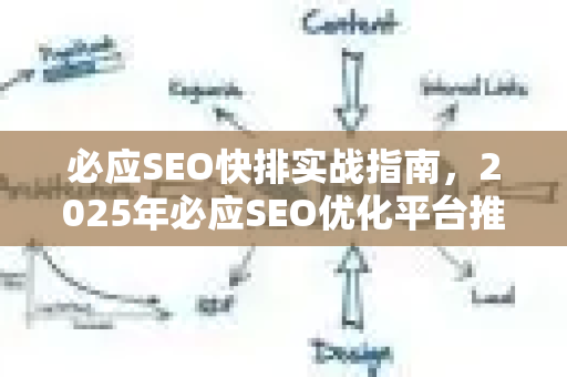 必应SEO快排实战指南，2025年必应SEO优化平台推荐-第1张图片-星博讯-专业SEO_网站优化技巧_搜索引擎排名提升