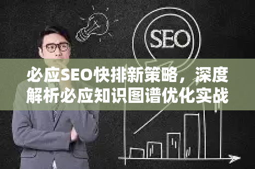 必应SEO快排新策略，深度解析必应知识图谱优化实战技巧