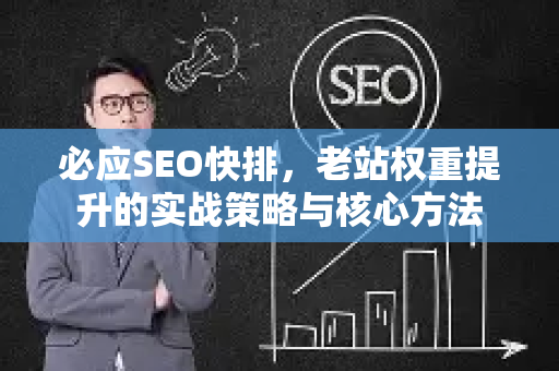 必应SEO快排，老站权重提升的实战策略与核心方法