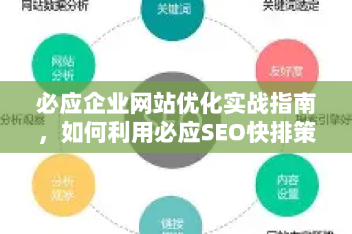 必应企业网站优化实战指南，如何利用必应SEO快排策略实现高效排名