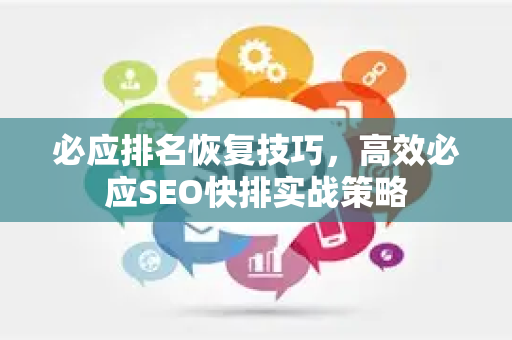 必应排名恢复技巧，高效必应SEO快排实战策略