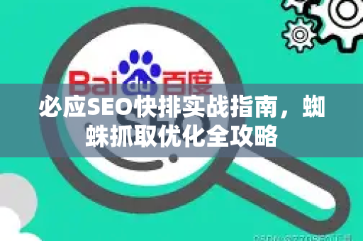必应SEO快排实战指南，蜘蛛抓取优化全攻略