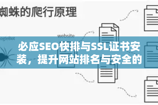 必应SEO快排与SSL证书安装，提升网站排名与安全的双赢策略