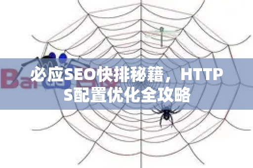 必应SEO快排秘籍，HTTPS配置优化全攻略