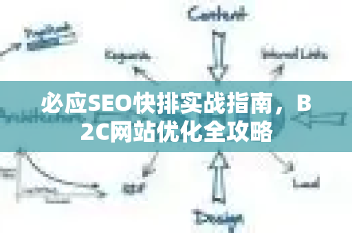 必应SEO快排实战指南，B2C网站优化全攻略