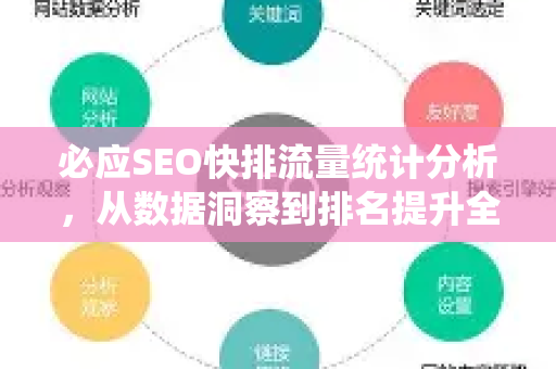必应SEO快排流量统计分析，从数据洞察到排名提升全攻略