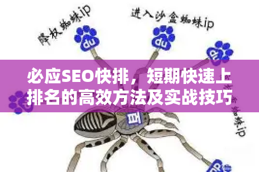 必应SEO快排，短期快速上排名的高效方法及实战技巧-第1张图片-星博讯-专业SEO_网站优化技巧_搜索引擎排名提升