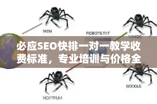 必应SEO快排一对一教学收费标准，专业培训与价格全解析-第1张图片-星博讯-专业SEO_网站优化技巧_搜索引擎排名提升