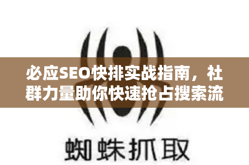 必应SEO快排实战指南，社群力量助你快速抢占搜索流量
