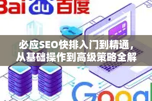 必应SEO快排入门到精通，从基础操作到高级策略全解析