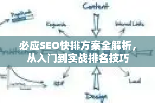 必应SEO快排方案全解析，从入门到实战排名技巧