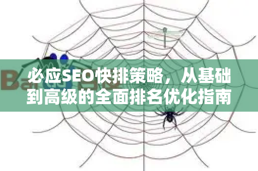 必应SEO快排策略，从基础到高级的全面排名优化指南