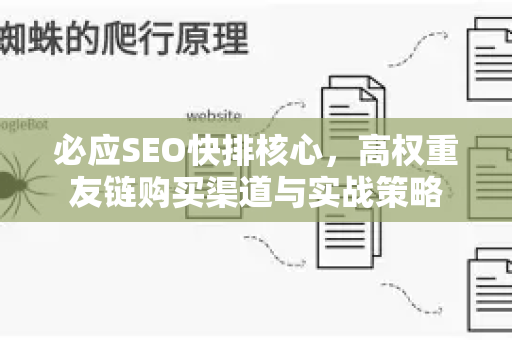 必应SEO快排核心，高权重友链购买渠道与实战策略