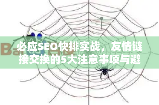 必应SEO快排实战，友情链接交换的5大注意事项与避坑指南