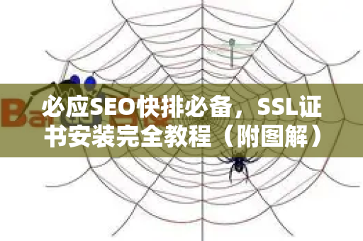必应SEO快排必备，SSL证书安装完全教程（附图解）-第1张图片-星博讯-专业SEO_网站优化技巧_搜索引擎排名提升