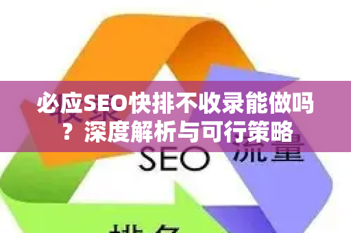 必应SEO快排不收录能做吗？深度解析与可行策略