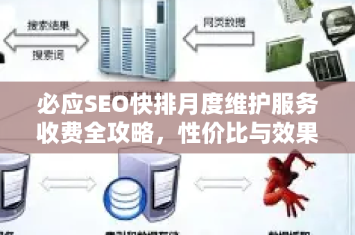 必应SEO快排月度维护服务收费全攻略，性价比与效果深度解析