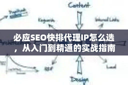 必应SEO快排代理IP怎么选，从入门到精通的实战指南