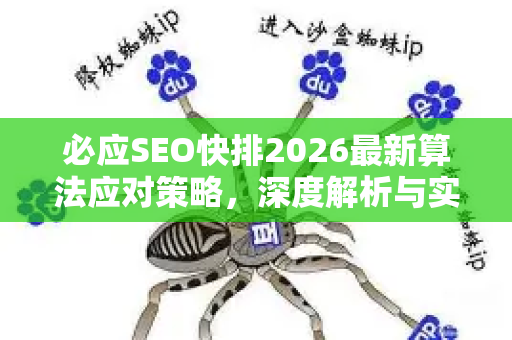 必应SEO快排2026最新算法应对策略，深度解析与实战指南