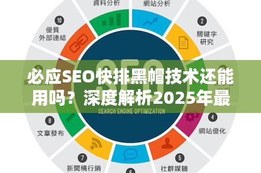必应SEO快排黑帽技术还能用吗？深度解析2025年最新算法与风险