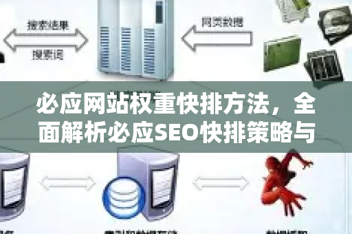 必应网站权重快排方法，全面解析必应SEO快排策略与实战技巧